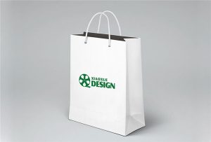 पेपर-बॅग-प्रिंटिंग-नमुना-मुद्रित-बाय-ए 1-आकार-यूव्ही-प्रिंटर-WER-EP6090UV